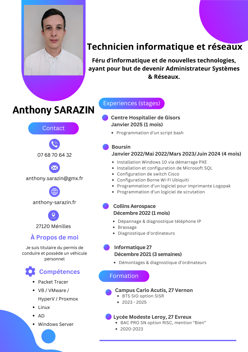 Curriculum Vitae de Sarazin Anthony